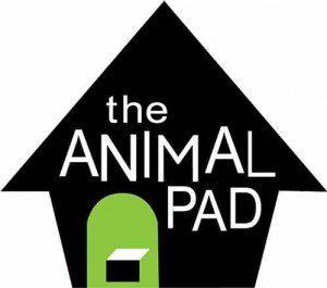 non-profit-animal-pad1-oi